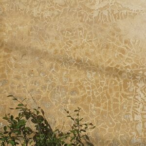 Fissures2