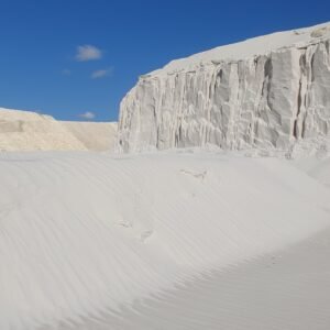 Sable (5)