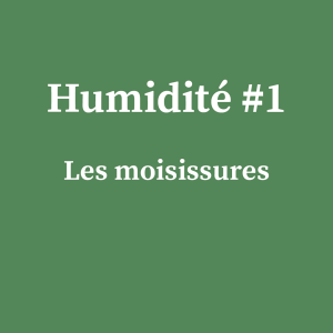 Humidité#1